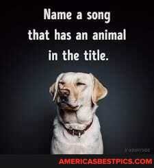 Name a song that has an animal in the title. 