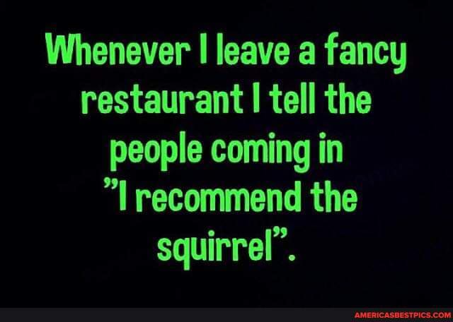 Whenever leave a fancy restaurant I tell the people coming in recommend the squirrel".