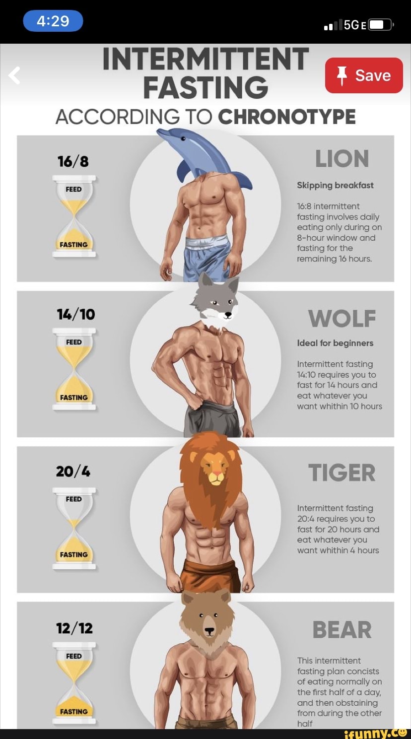 Ummm Two Of Those Don t Match INTERMITTENT FASTING ACCORDING TO CHRONOTYPE LION FEED 