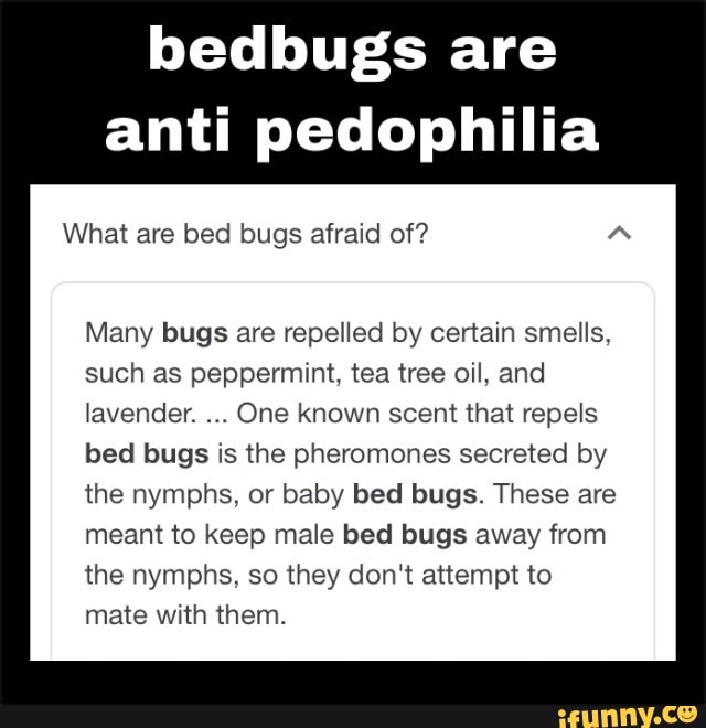 Bedbugs are anti pedophilia What are bed bugs afraid of? Many bugs are