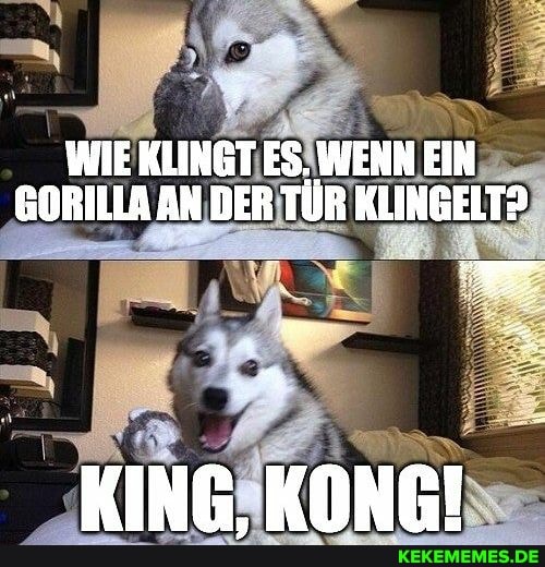 WIE KLINGT ES. WEHN EIN GORILLA AN DER TÜR KLINGELT?