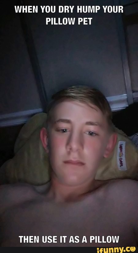 When You Dry Hump Your Pillow Pet Then Use It As A Pillow Ifunny