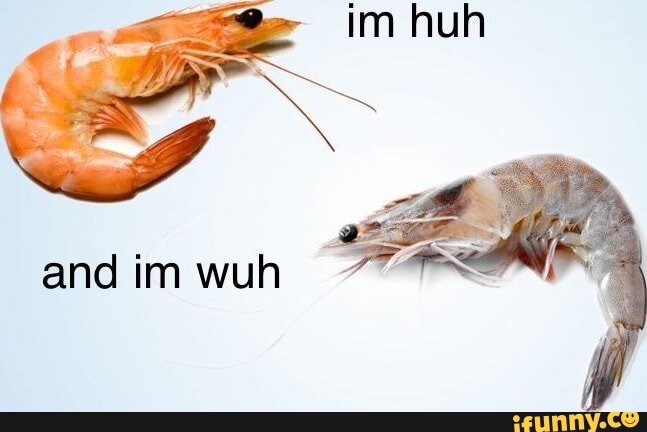 Wuh memes. Best Collection of funny Wuh pictures on iFunny