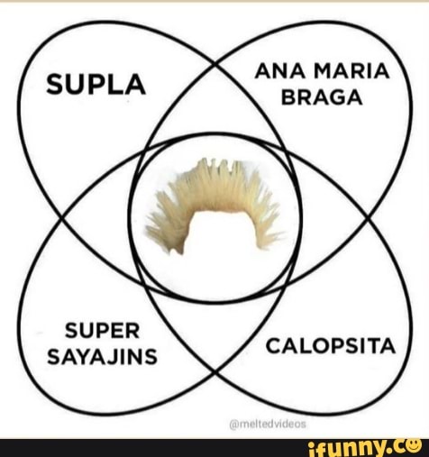 SUPLA
ANA MARIA BRAGA
SUPER SAYAJINS CALOPSITA