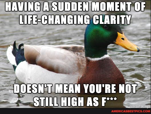 HAVING A SUDDEN MOMENT OF LIFE-CHANGING CLARITY
DOESN'T MEAN YOU'RE NOT
CTILI A@
