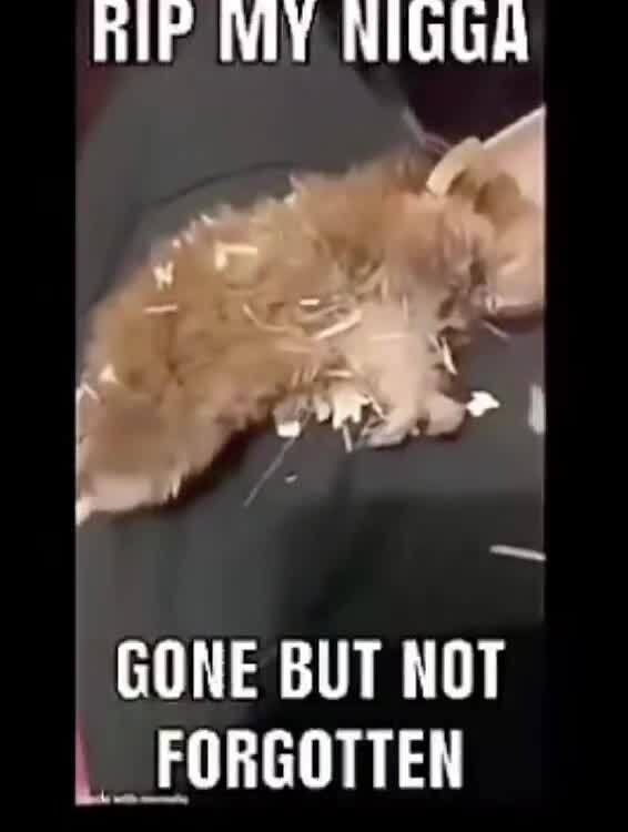 Rip Hif Wy Nigga Gone But Not Forgotten Ifunny