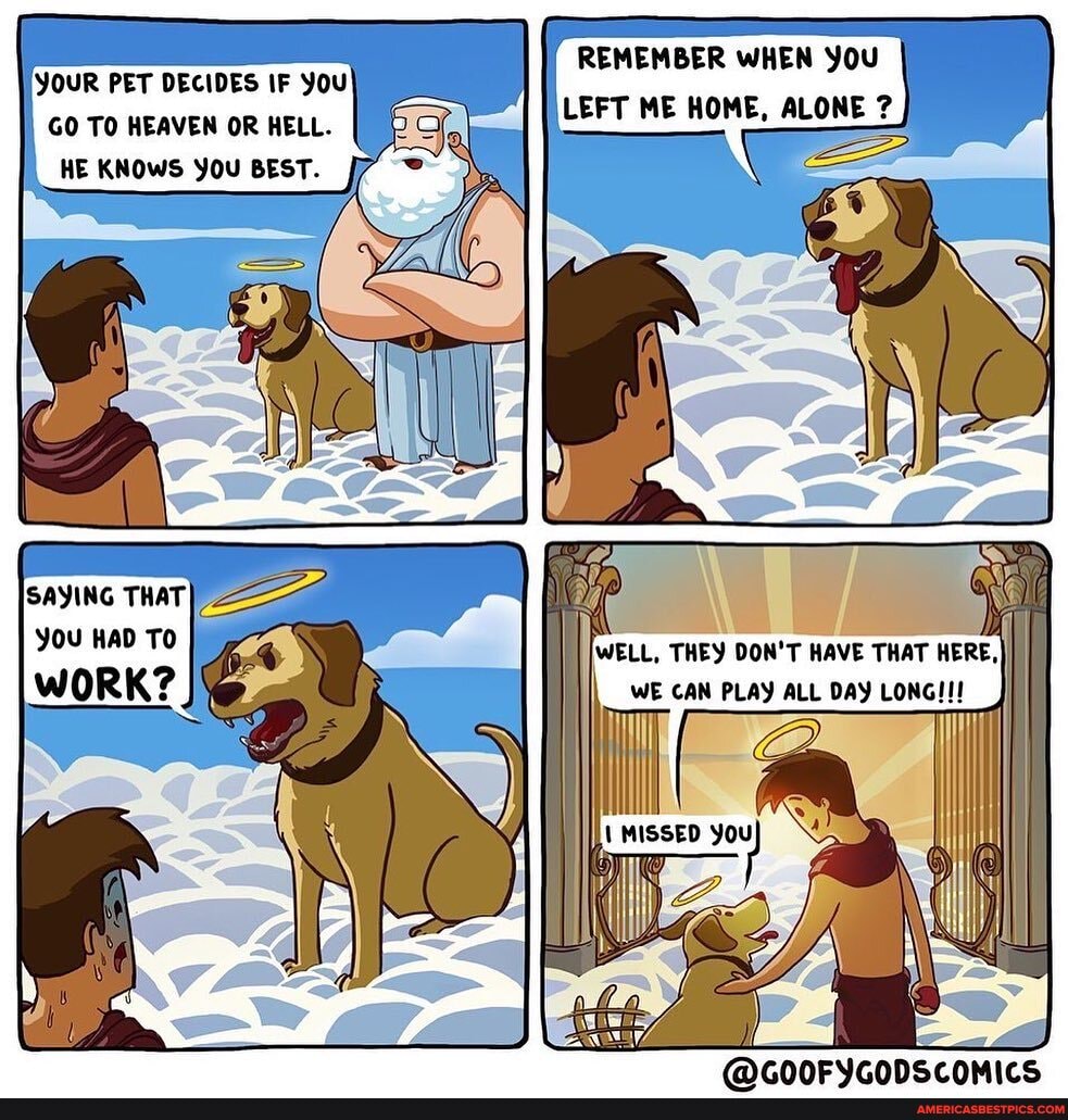 REMEMBER WHEN You
YOUR PET DECIDES IF you
LEFT ME HOME, ALONE ?
GO TO HEAVEN OR HELL.
HE KNOWS YOU BEST.
SAYING THAT =
you HAD TO
WORK?
WELL, THEY DON'T HAVE THAT HERE,
WE CAR PLAY BAY
PNERAEMEAREE nuwmirrca