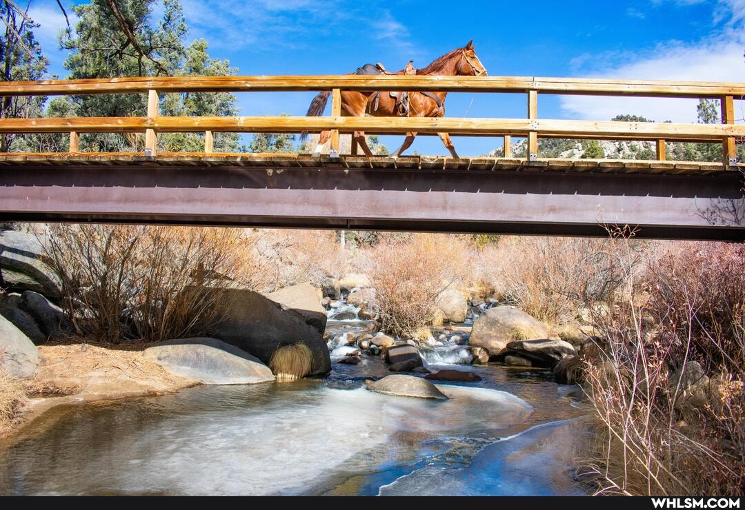 nature, horse, mountains, merry_christmas