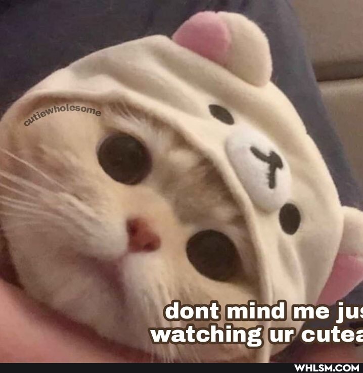 dont mind me ju: watching ur cute: