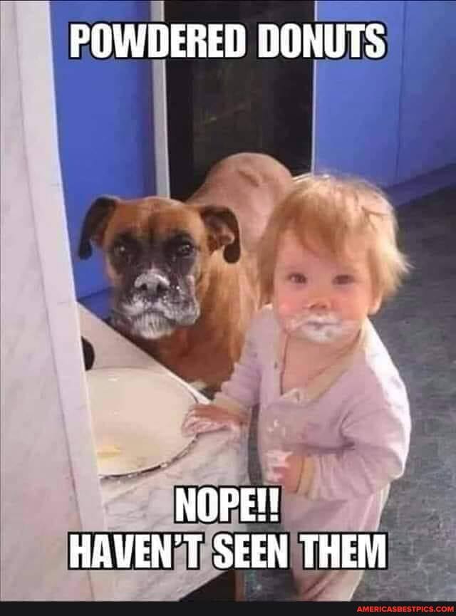 POWDERED DONUTS
NOPE!
HAVEN'T SEEN THEM