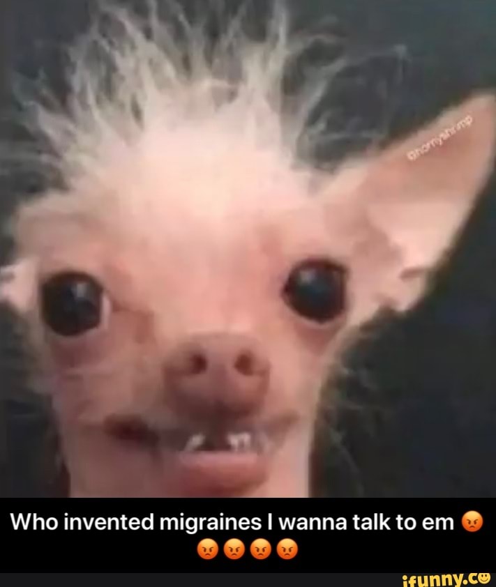 Who invented migraines I wanna talk to em - Who invented migraines I wanna talk to em π‘π‘π‘π‘π‘