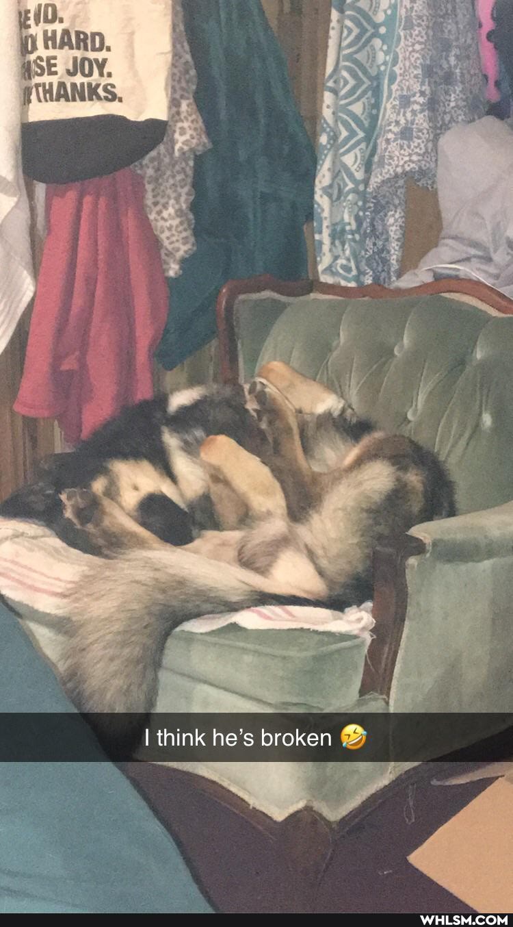 HARD.
JOY.
I think he's broken
