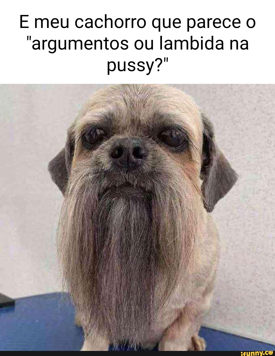 E meu cachorro que parece o 