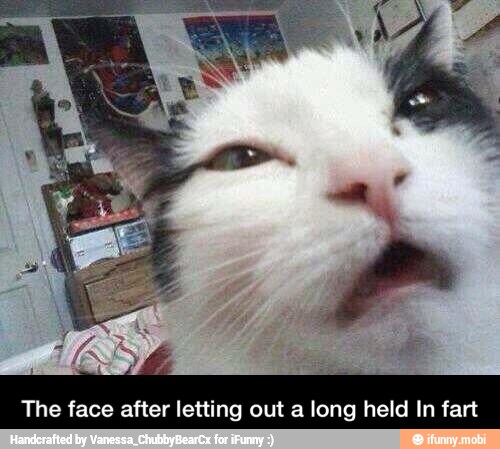 The face after letting out a long held In fart - The face after letting out a long held In fart