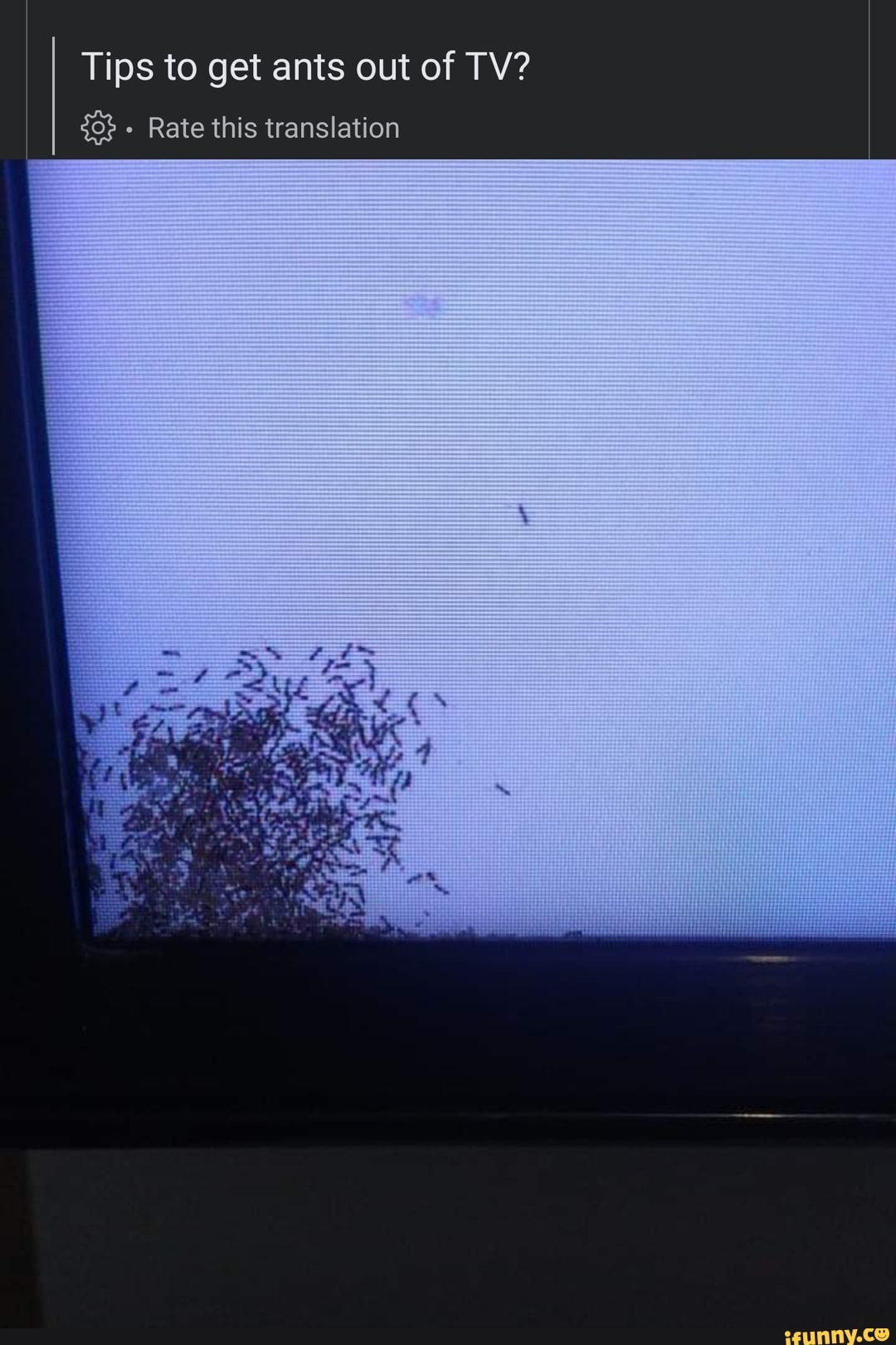 hellittämätön Latina metalliseos ant in tv hälinä Sopeutua Konna