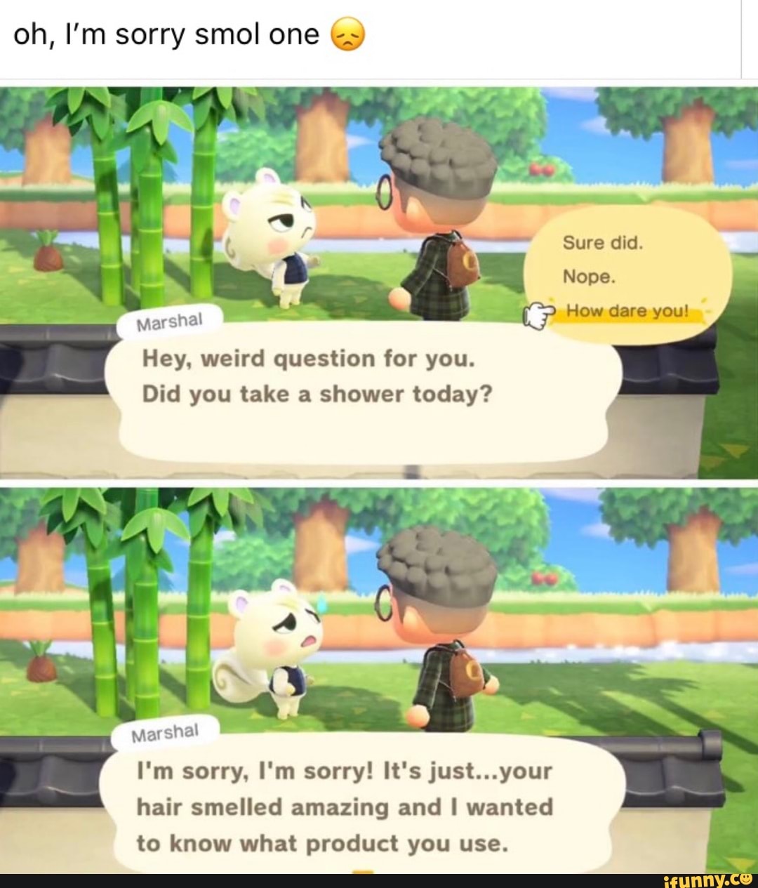 Nope. Marshal Hey, weird question for you. Did you take a shower today ...