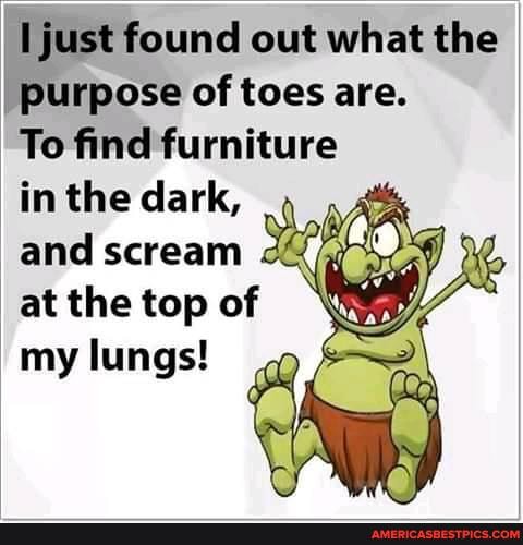 Ijust found out what the purpose of toes are.
To find furniture
in the dark, and scream at the top of my lungs!