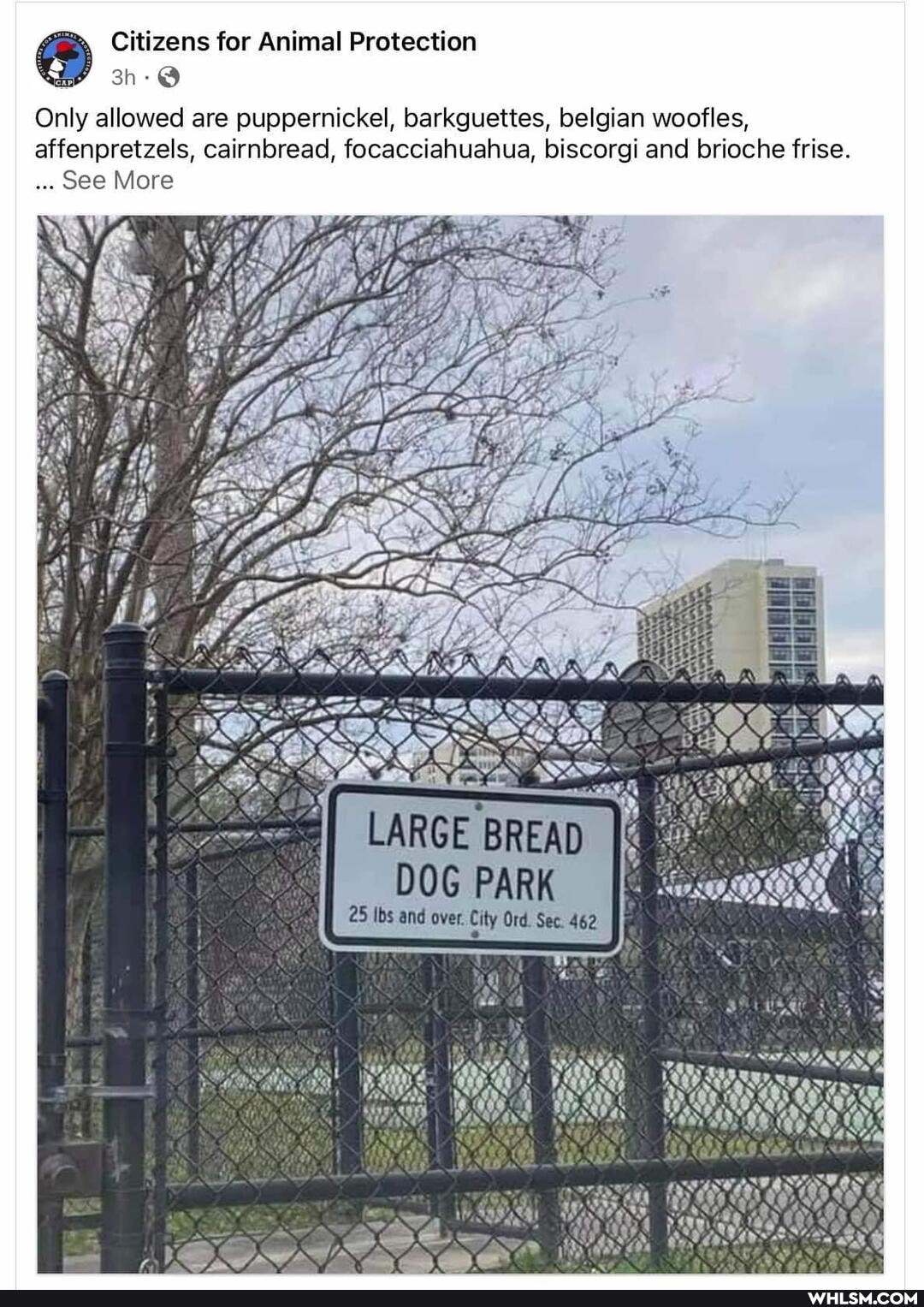 Citizens for Animal Protection
Only allowed are puppernickel, barkguettes, belgian woofles,
affenpretzels, cairnbread, focacciahuahua, biscorgi and brioche frise.
See More
DOG PARK
25 Ibs and over. City Ord. Sec. 462
Ox