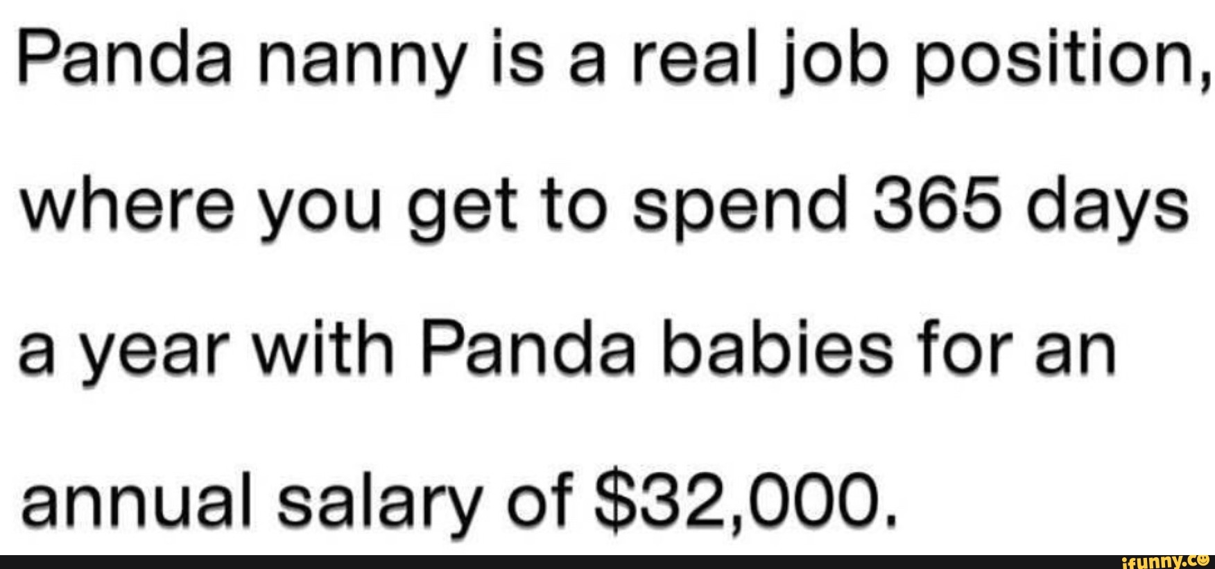 panda-nanny-is-a-real-job-position-where-you-get-to-spend-365-days-a