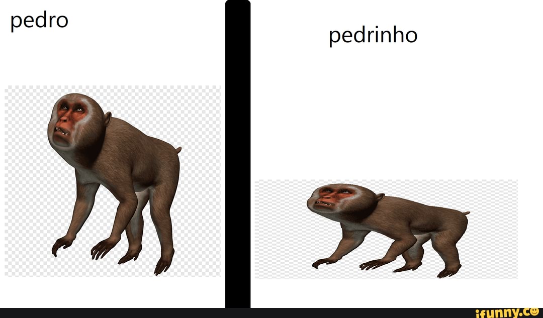 pedro pedrinho