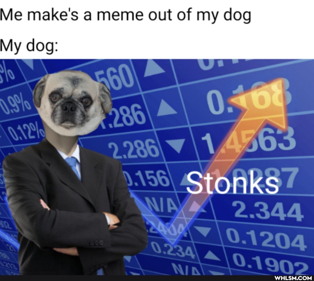 Me make's a meme out of my dog
My dog:
Stonks