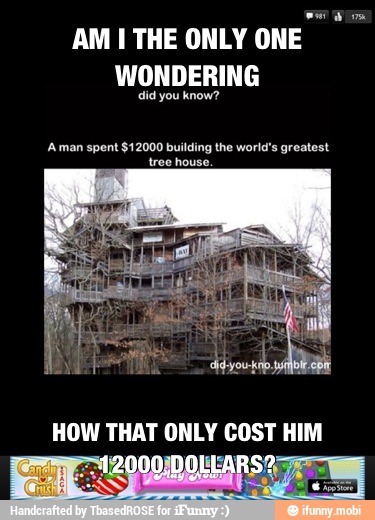 esp os
AM I THE ONLY ONE
WONDERING
did know?
A man spent $12000 building the world's greatest
tree house.