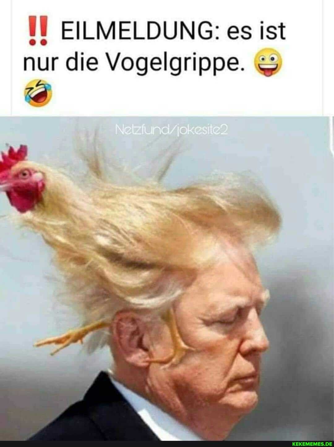 IT EILMELDUNG: es ist nur die Vogelgrippe.