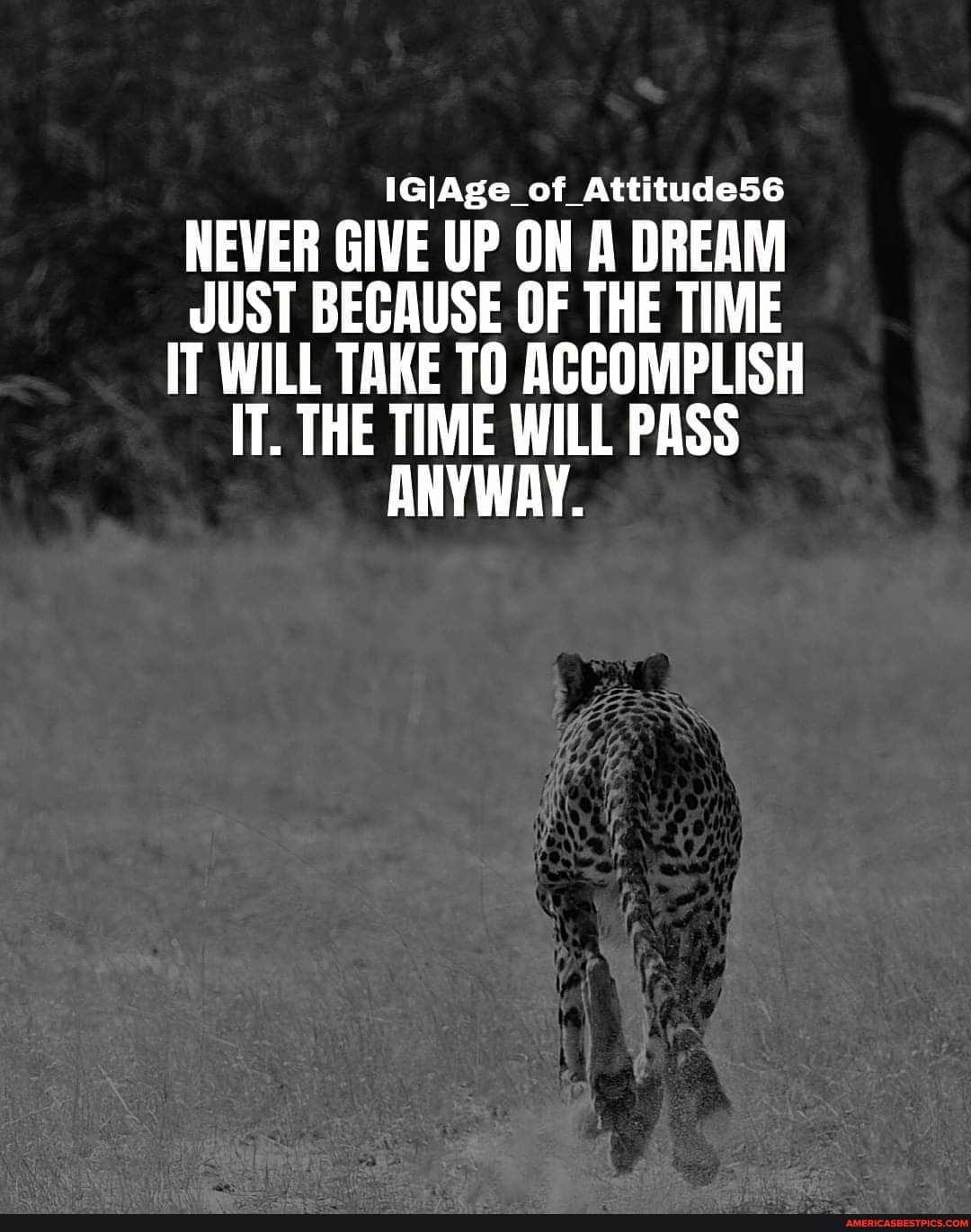 1GIAge_of_Attitude56
NEVER GIVE UP ON A DREAM JUST BECAUSE OF THE TIME IT WILL TAKE TO ACCOMPLISH IT. THE TIME WILL PASS ANYWAY.