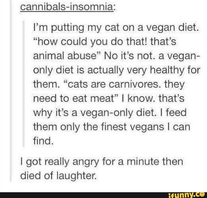 I'm putting my cat on a vegan diet. "how could you do that! that's