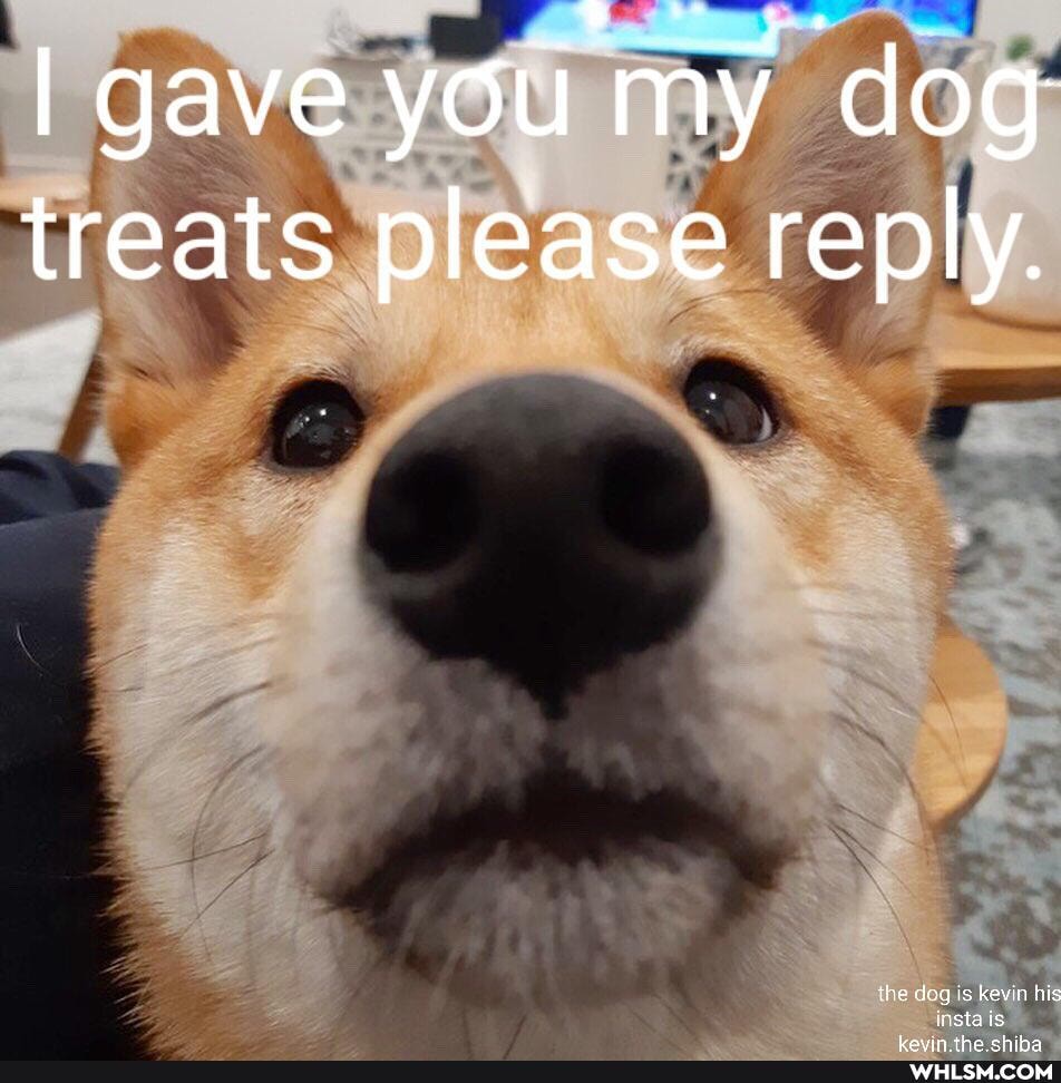 I gave you my dog treats please reply.
g is ke insta is