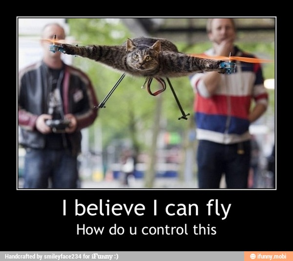 I believe I can fly
How do u control this - I believe I can fly
How do u control this