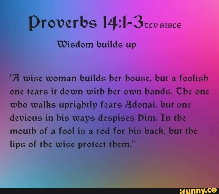 Proverbs BIBLE Wisdom builds up 