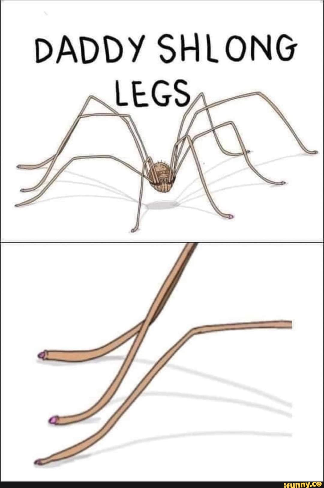 DADDY LONG
LEGS,