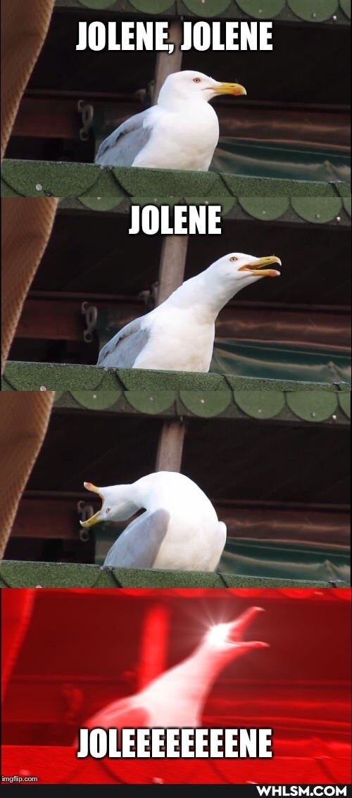 JOLENE, JOLENE
JOLENE
JOLEEEEEEEENE
