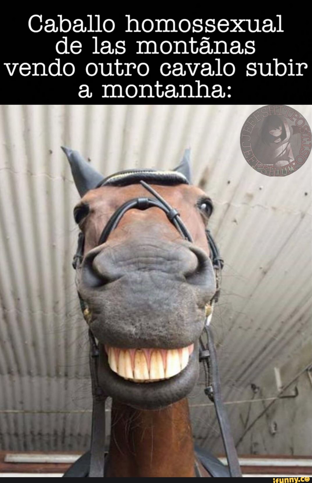 Caballo homossexual de las montânas vendo outro cavalo subir a montanha;
já
