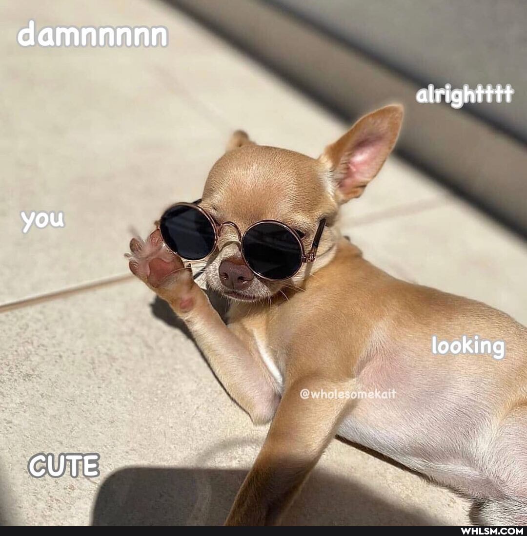 damnnnnn
alrightttt
you
looking
CUTE