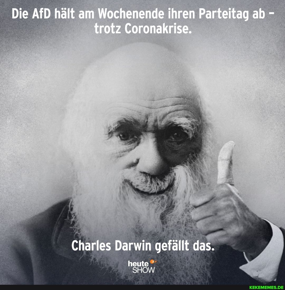 Die AfD hält am Wochenende ihren Parteitag ab - trotz Coronakrise.
Charles Darwin gefällt das.
heute
SHOW