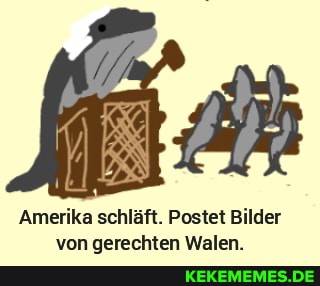 Amerika schläft. Postet Bilder un narschten Walen