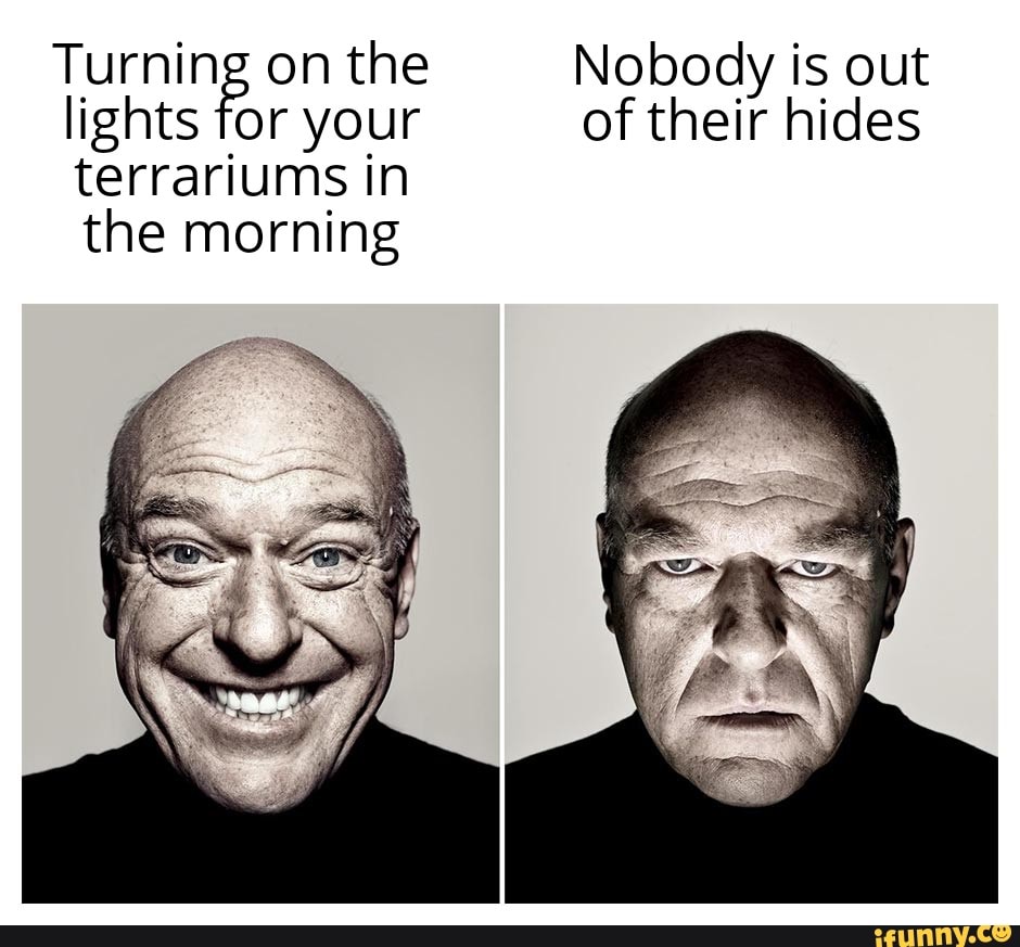 Terrariums memes. Best Collection of funny Terrariums pictures on iFunny