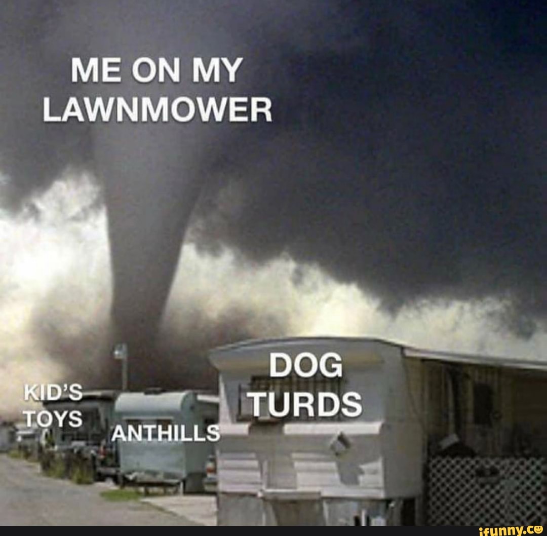 ME ON MY LAWNMOWER
DOG TURDS
KID'S-
TOYS ANTHILLS