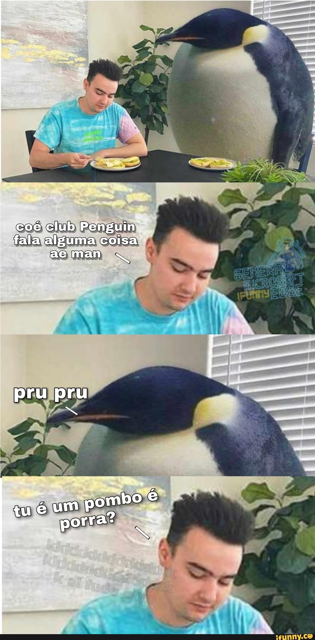 SE
coé club Penguin fala alguma coisa aeman
pru pru
um