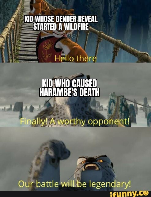 KID WHOSE GEHDER REVEAL STARTED A WILDFIRE
KID WHO CAUSED HARAMBE'S DEATH
legendary!