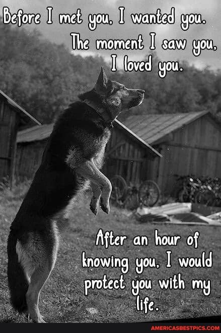 before met you, wanted you.
The moment saw you.
(oved you.
After an hour of knowing you. would protect you with my
life.