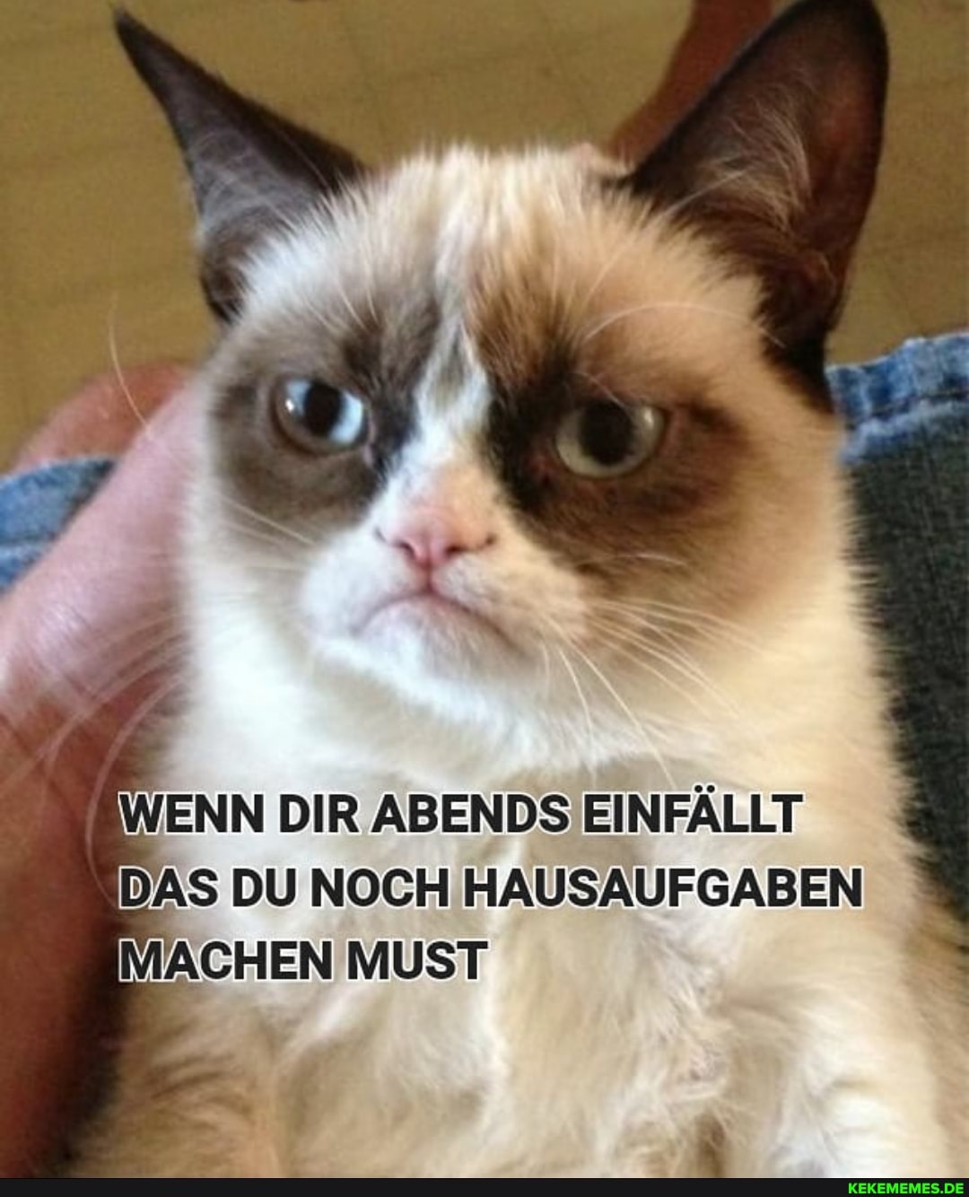 DIR ABENDS ENFÄLLT DAS DU NOCH HAUSAUFGABEN MACHEN MUST
