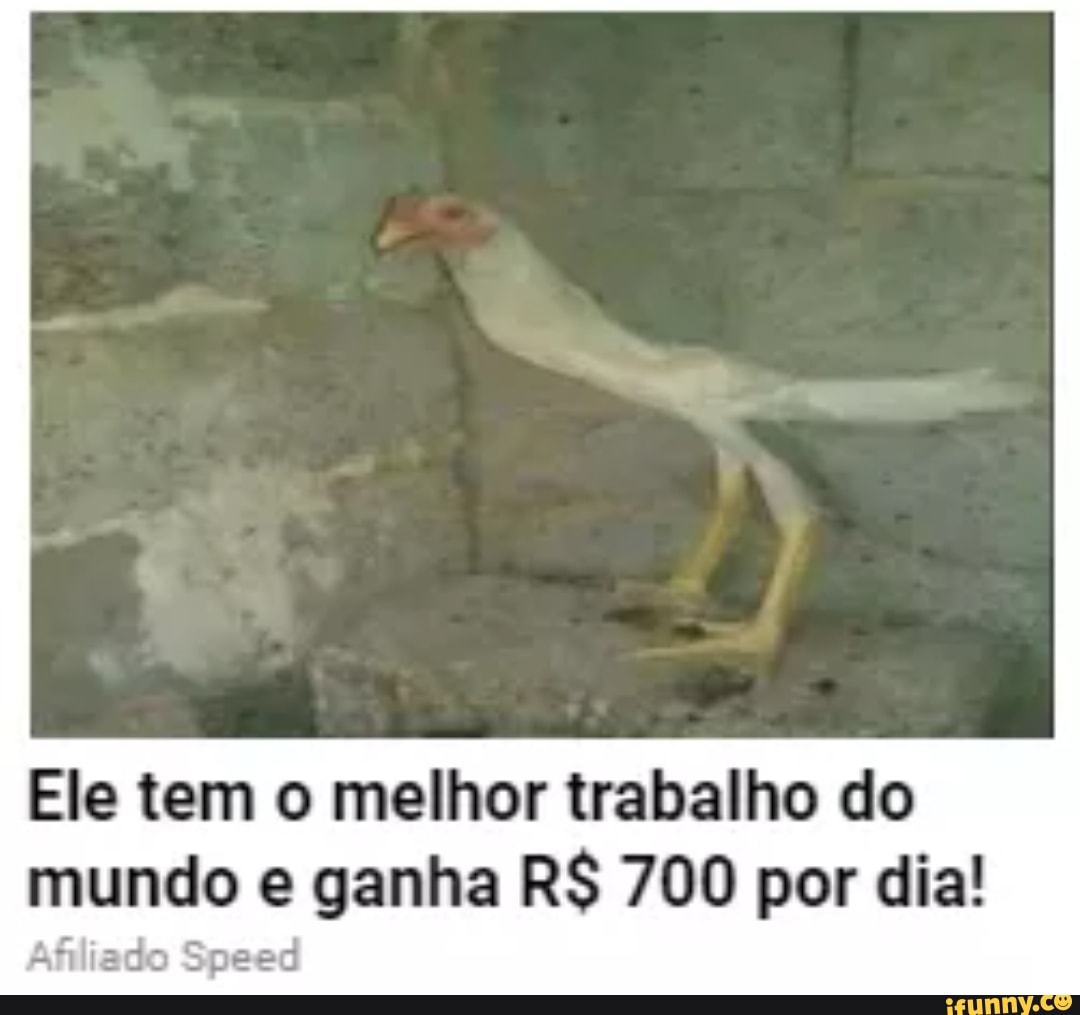 Ele tem o melhor trabalho do mundo e ganha R$ 700 por dia!
Afiliado Speed