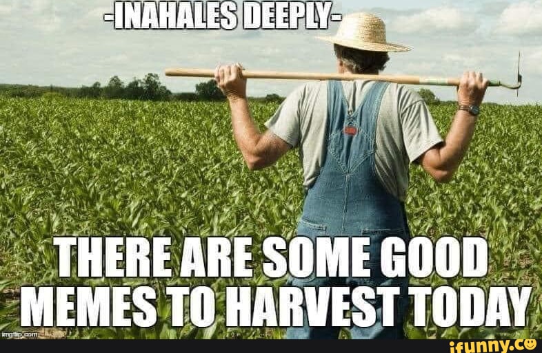 Inahales Deeply There Are Some Good Memes To Harvest Today Ifunny