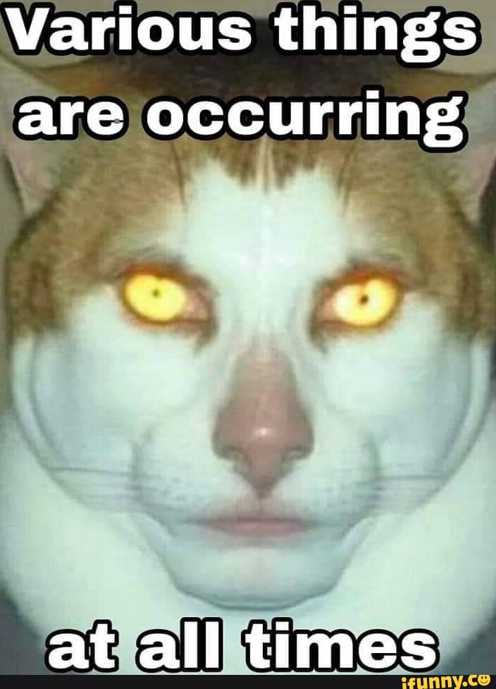 Picture memes H7H2UVzw9 by Doombane: 171 comments - seo.title