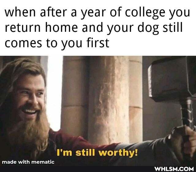 when after a year of college you return home and your dog still comes to you first
I'm still worthy!