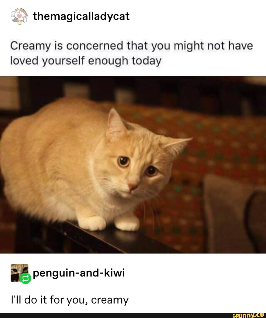 Creamy Is Concerned That You Might Not Have Loved Yourself Enough Today Penguin And Kiwi I Ll Do It For You Creamy Ifunny