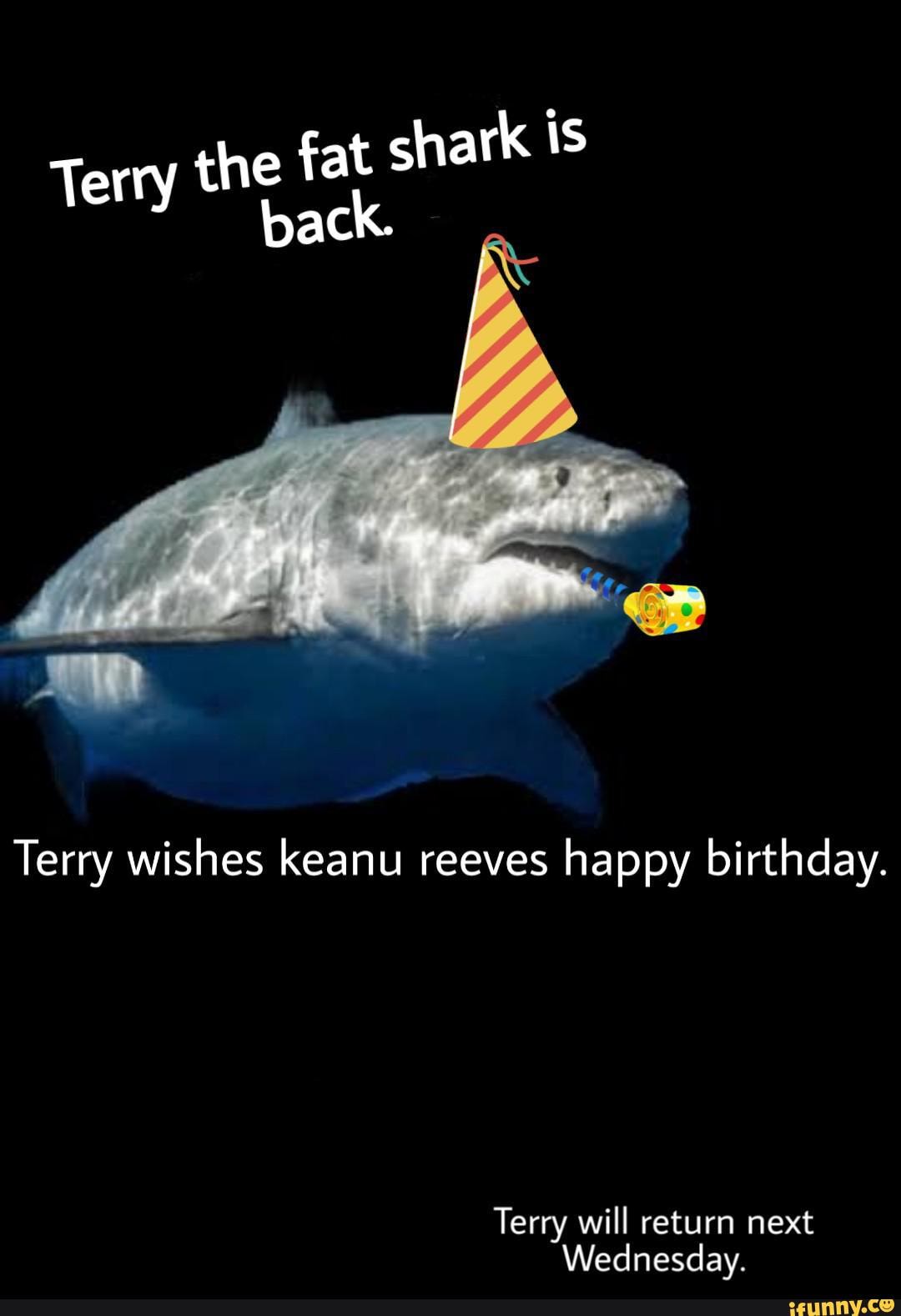 The fat shark is Terry back. Terry wishes keanu reeves happy birthday.  Terry will return next Wednesday. - iFunny, image size:1080x1578